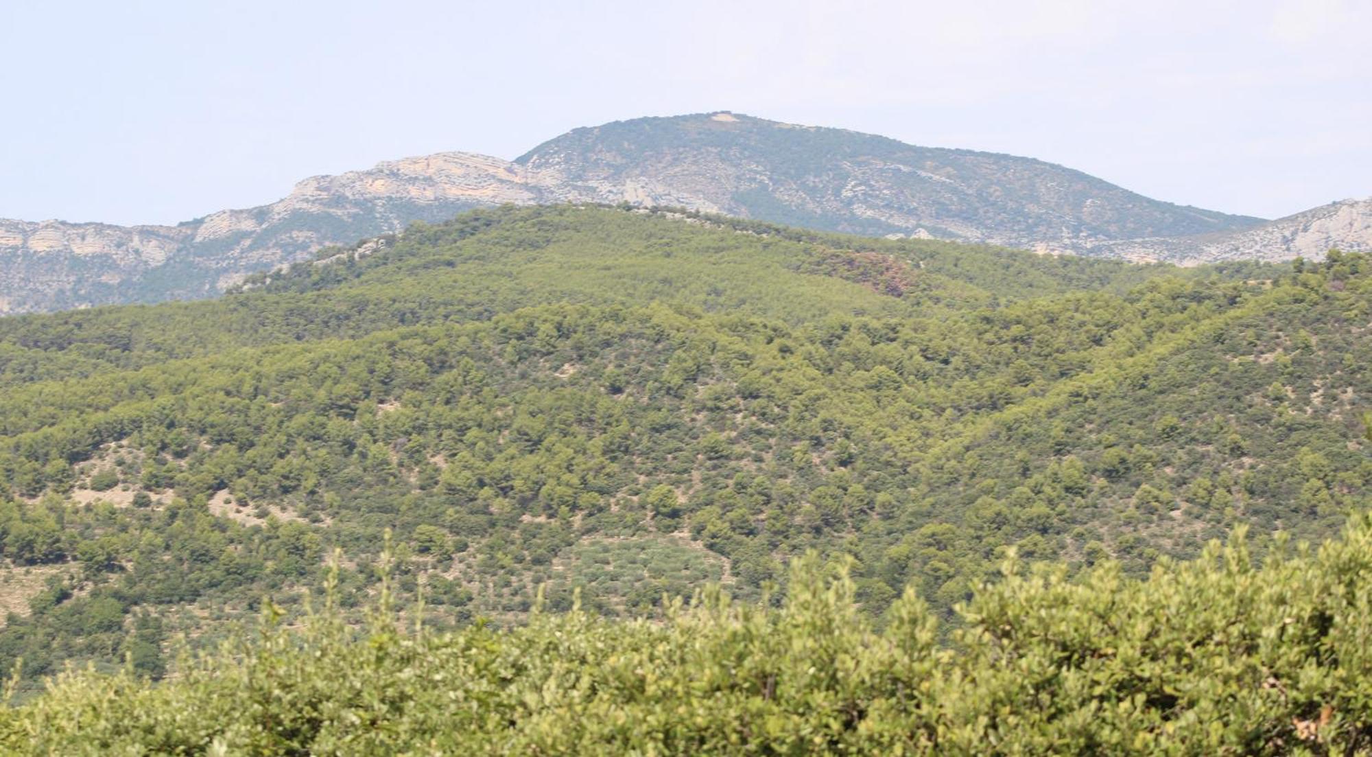 Le Pas Du Ventoux Villa Mollans-sur-Ouveze Exterior photo